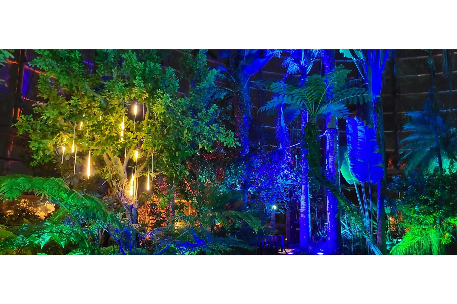 BOTANICA MUSEUM（旧千葉市花の美術館）_2
