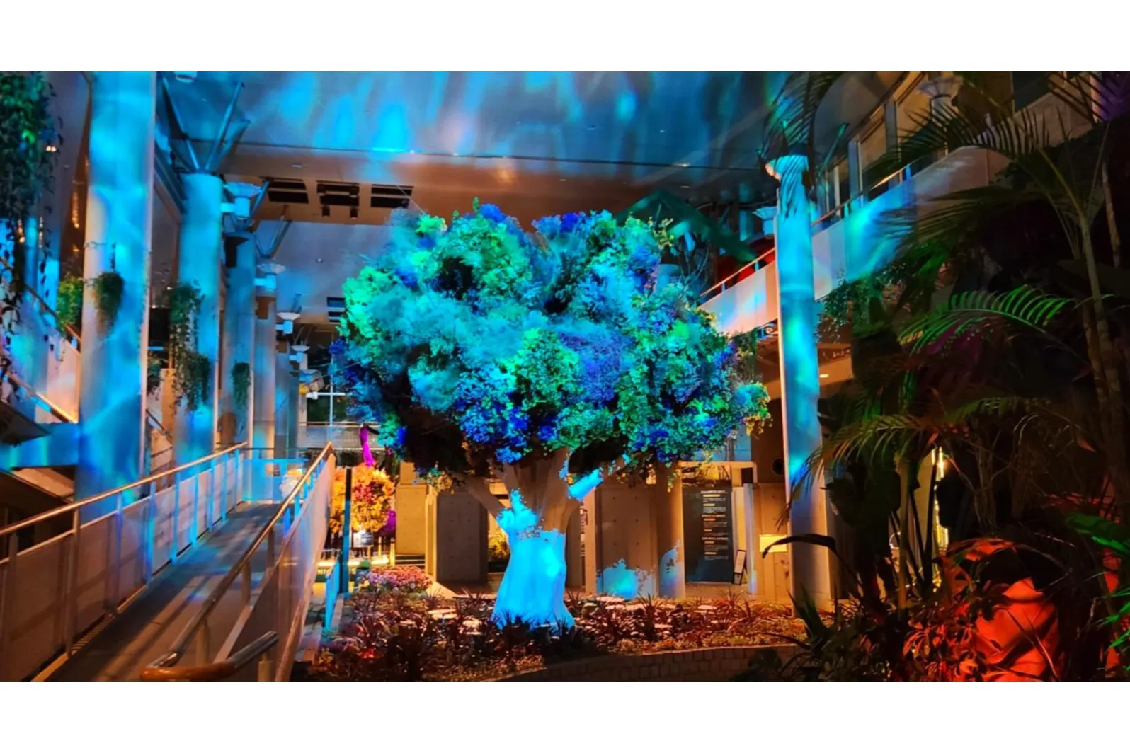 BOTANICA MUSEUM（旧千葉市花の美術館）_3