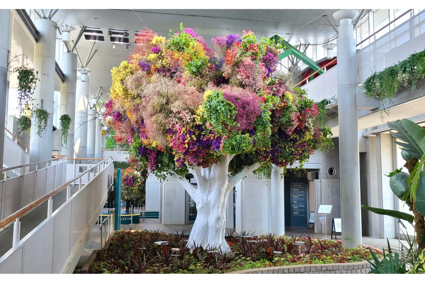 BOTANICA MUSEUM（旧千葉市花の美術館）_4