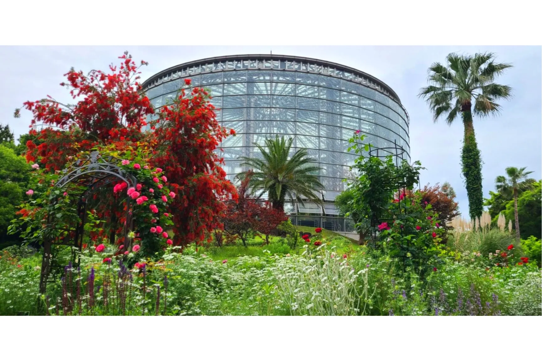 BOTANICA MUSEUM（旧千葉市花の美術館）_7