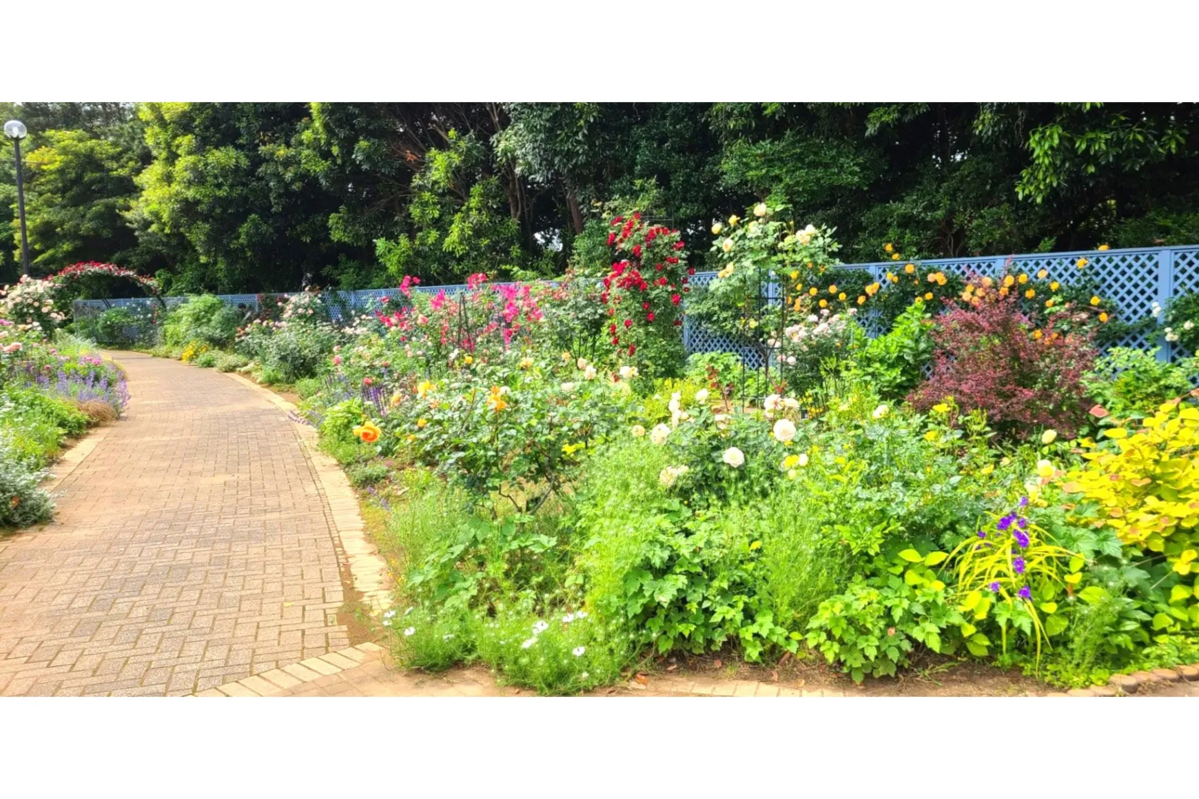 BOTANICA MUSEUM（旧千葉市花の美術館）_8