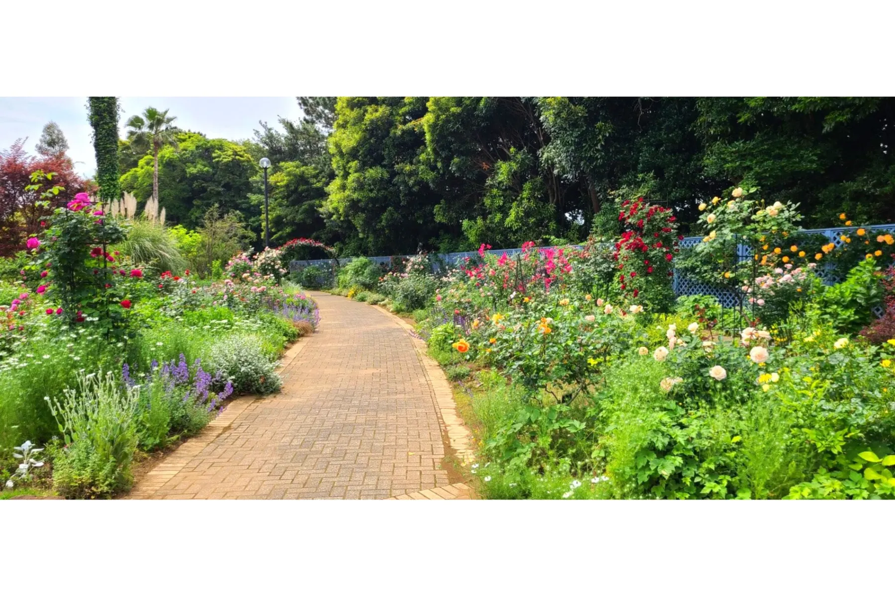 BOTANICA MUSEUM（旧千葉市花の美術館）_9