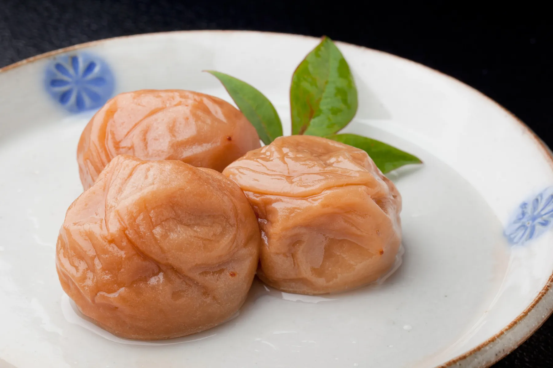 わかやま紀州館_4