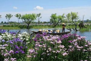 水郷佐原あやめパーク（旧：水郷佐原水生植物園）