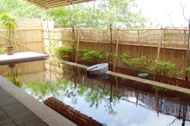 成田の命泉 大和の湯