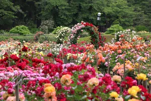 神代植物公園