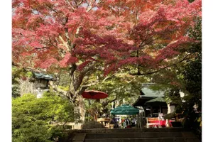 鎌倉宮