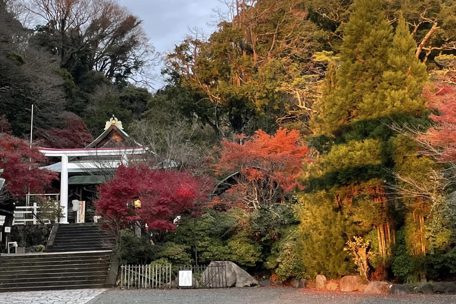 ▲鎌倉宮 紅葉