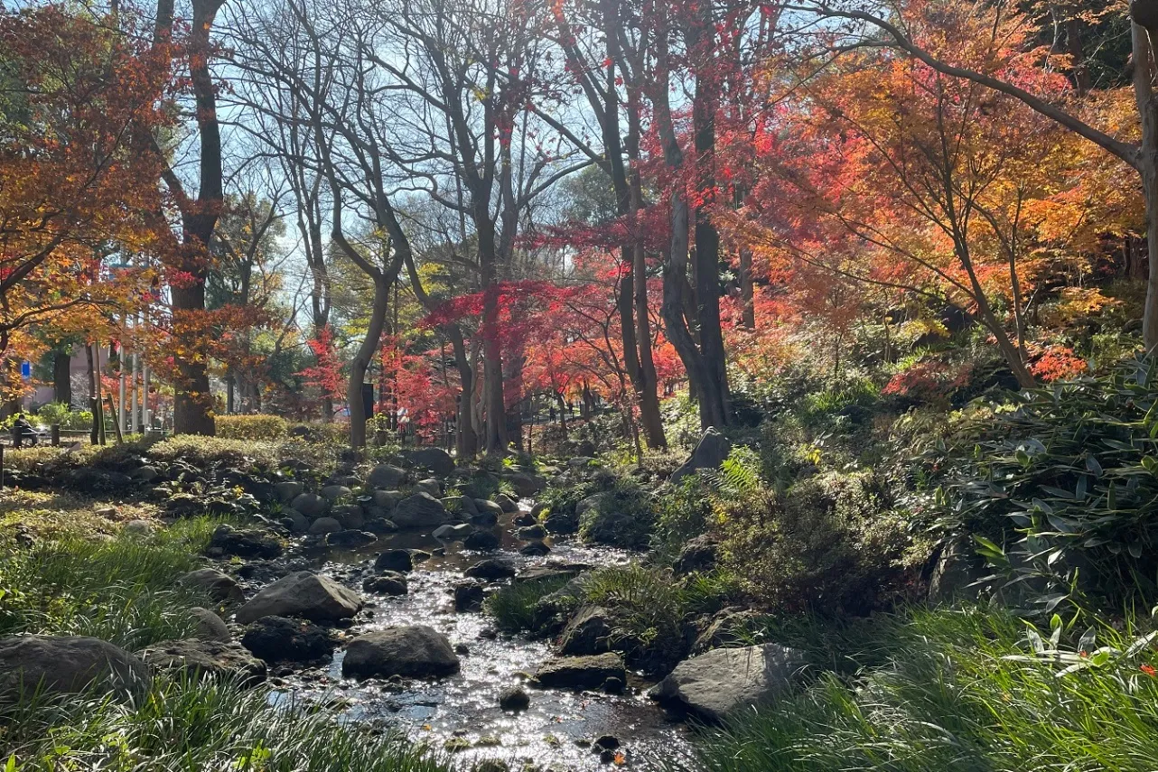 都立芝公園_3