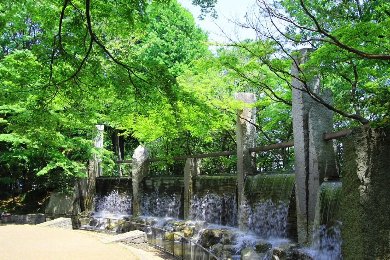 蚕糸の森公園_2