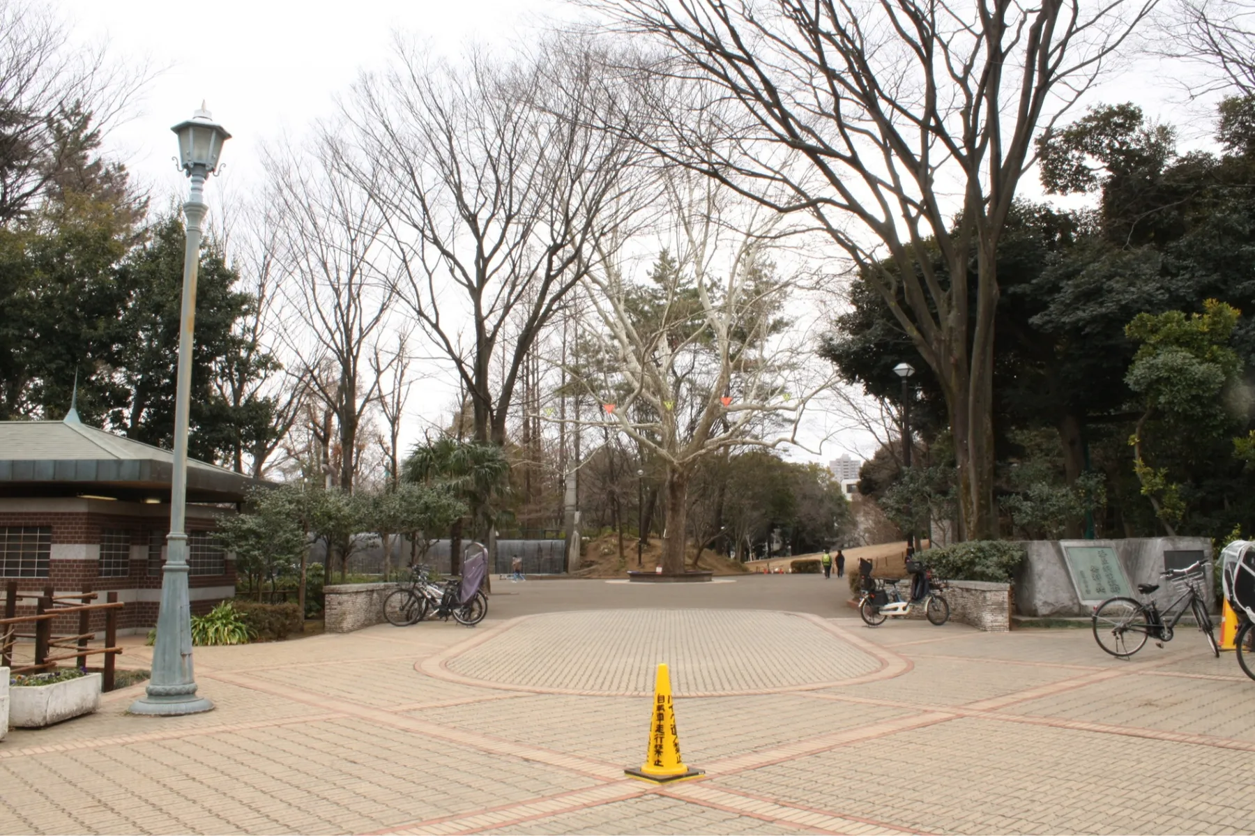 蚕糸の森公園_4
