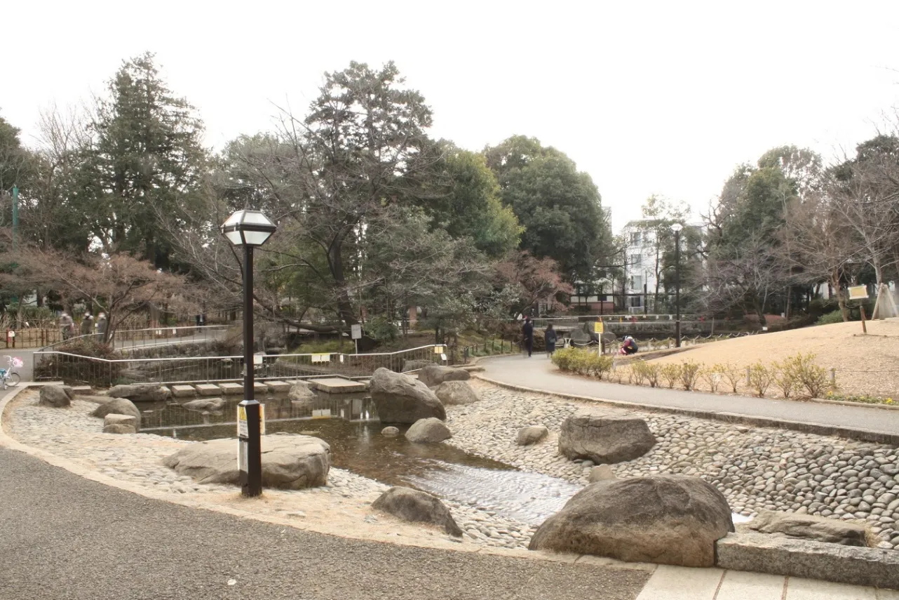 蚕糸の森公園_3