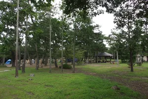富津公園キャンプ場