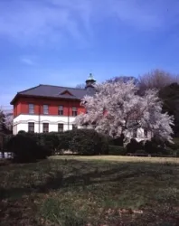 東京大学総合研究博物館小石川分館