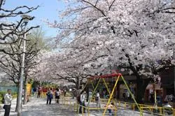外濠公園