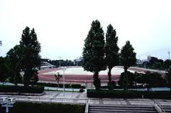 朝霞中央公園