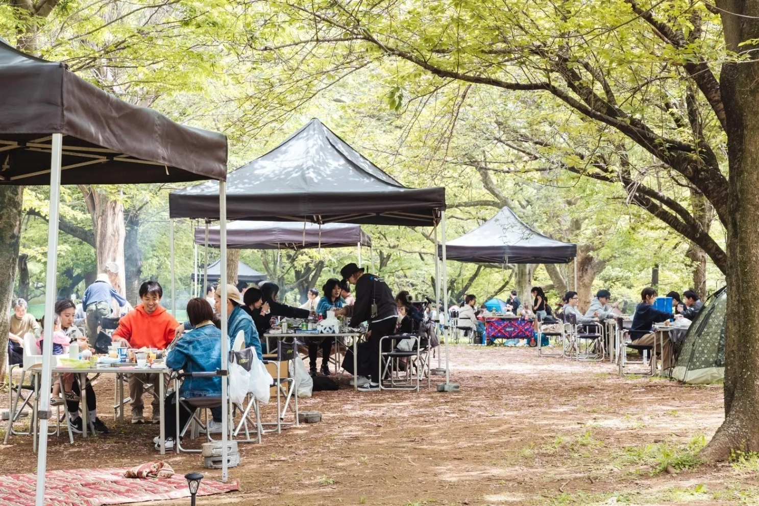 BBQ DAYS 青葉の森公園_5