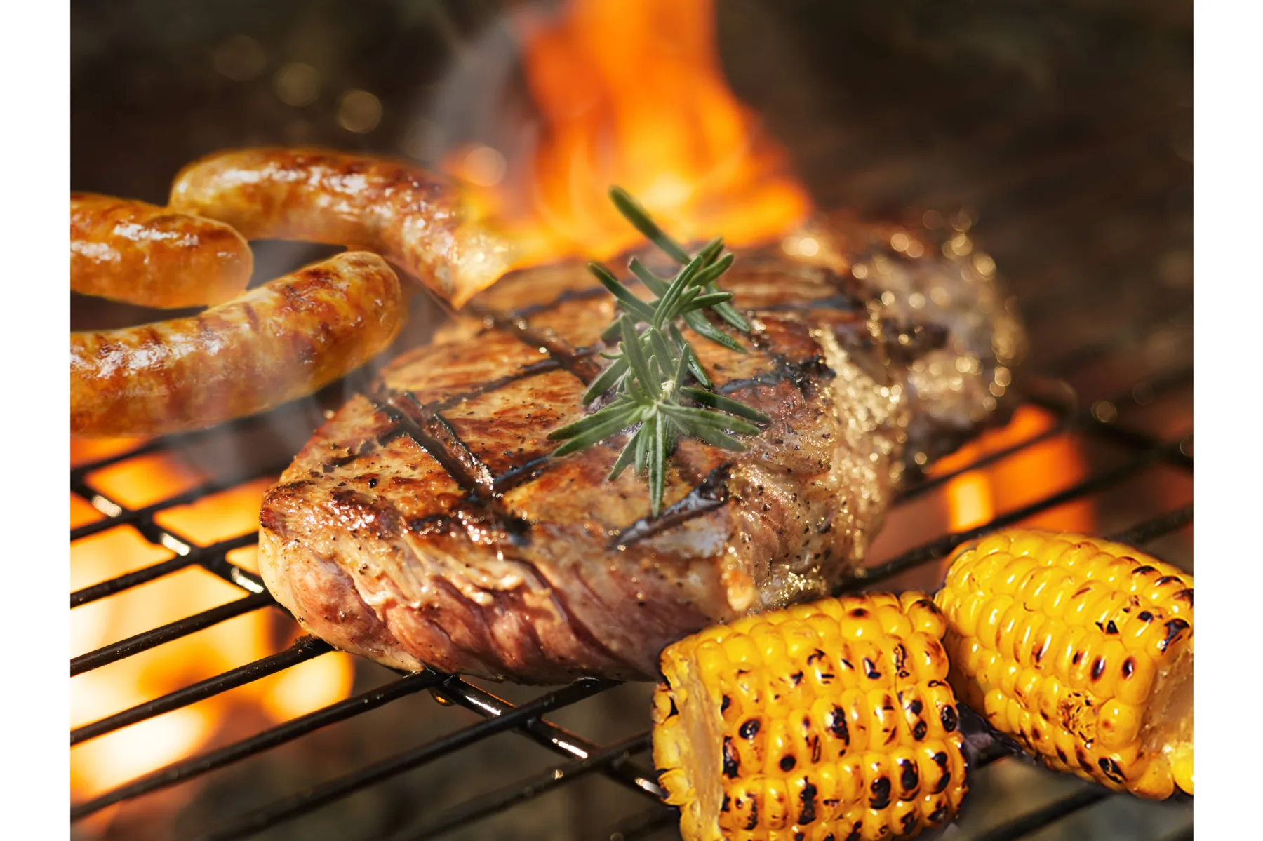 BBQ DAYS 青葉の森公園_6