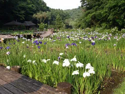 二宮せせらぎ公園