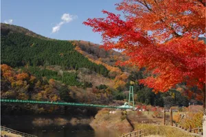 もみじ谷大吊橋