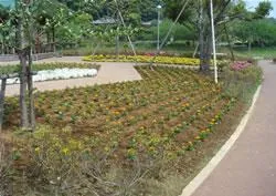袖ヶ浦公園