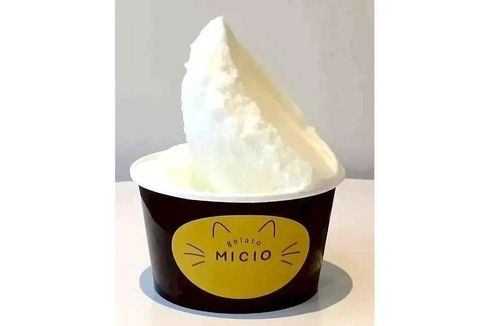 MICIO_2