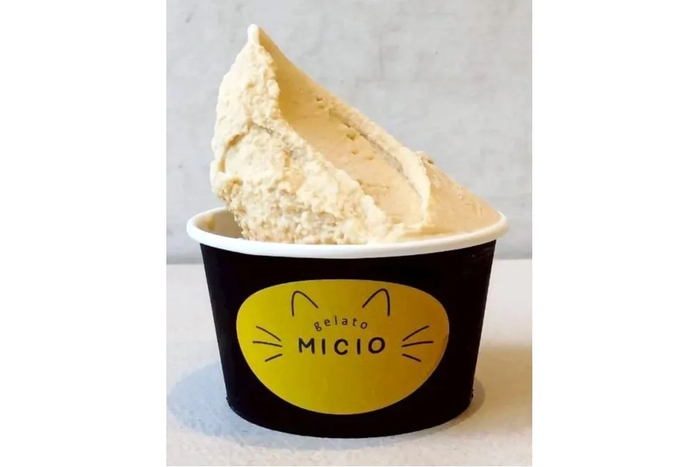 MICIO_4