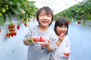秩父フルーツファーム
