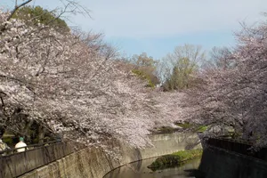 祖師谷公園
