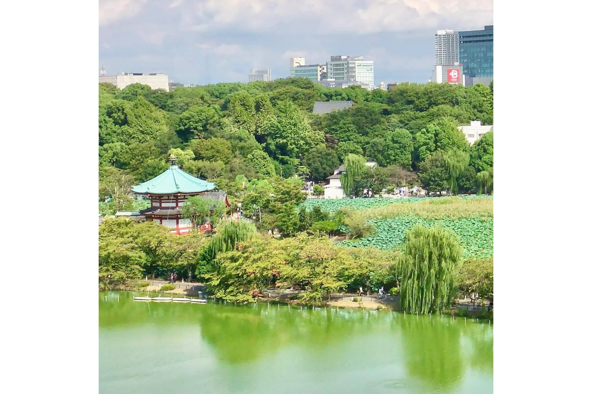 世界遺産登録まで秒読み!?今こそ行くべき、話題の『国立西洋美術館』