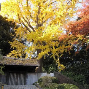 戸定が丘歴史公園