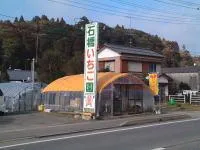 山武市成東観光イチゴ組合　石橋苺園