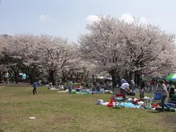 上大島キャンプ場