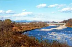 多摩川堤防沿い　永田橋～睦橋間_1