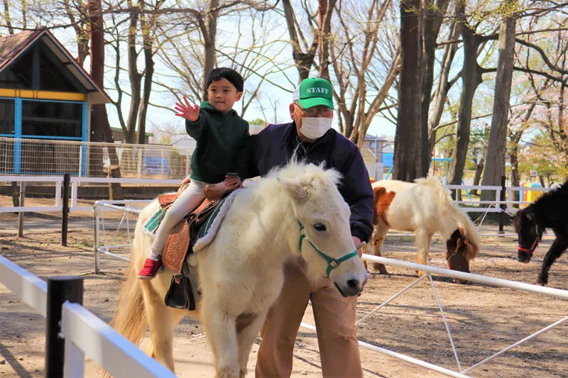 ▲乗馬デビューにもぴったり【ポニー乗馬】
