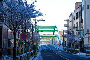 小台橋通り銀座商店街