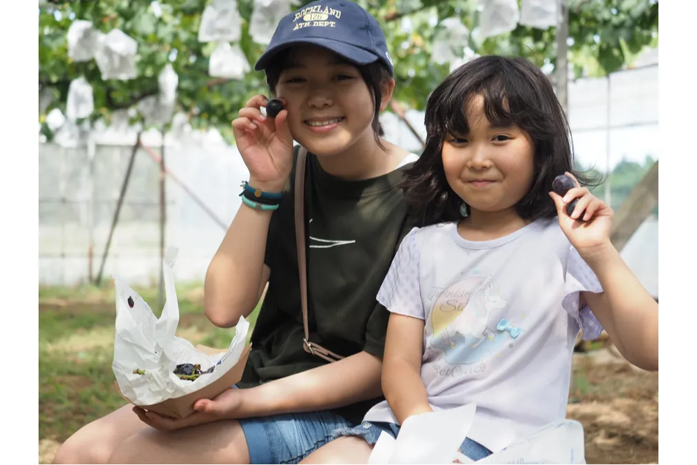 農園リゾート THE FARM 直営　しあわせ運ぶ 極甘ぶどう園_2