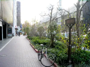 銀座コリドー通り