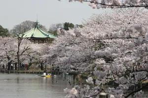 上野恩賜公園（上野公園）