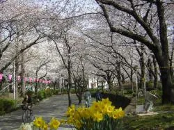 台東区立隅田公園