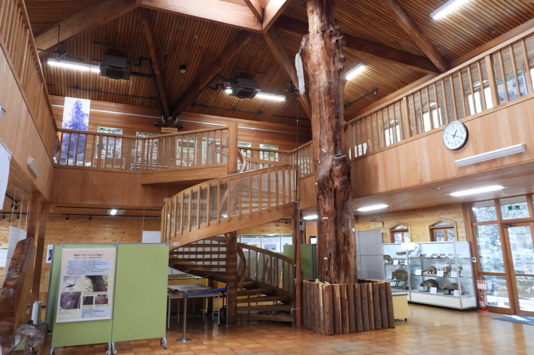 森林総合研究所　多摩森林科学園_6