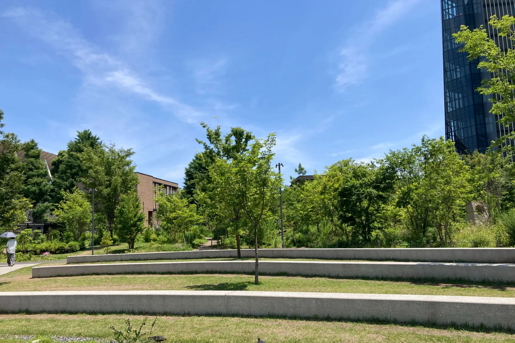 都立明治公園_5