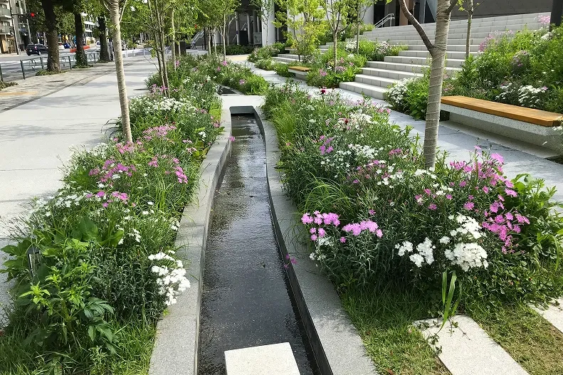 都立明治公園_6
