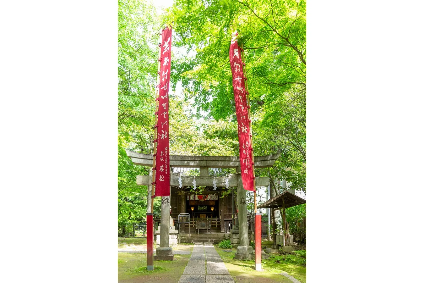 赤坂 氷川神社_4