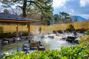 箱根小涌園 元湯 森の湯