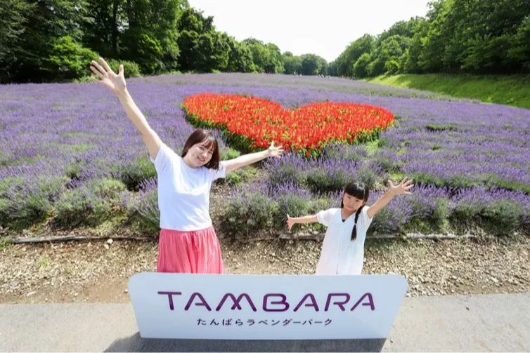 たんばらラベンダーパーク_7