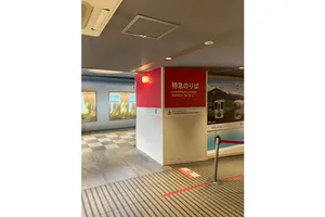池袋駅（西武鉄道）ラビュー発着ホーム