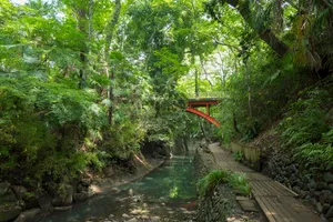 等々力渓谷公園【臨時休業】