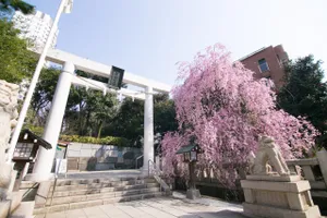 乃木神社