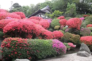 神木山 等覚院